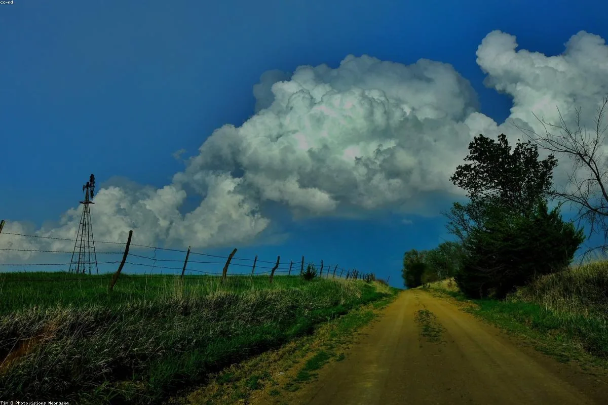 Open rural acreage with a gravel access road running through it