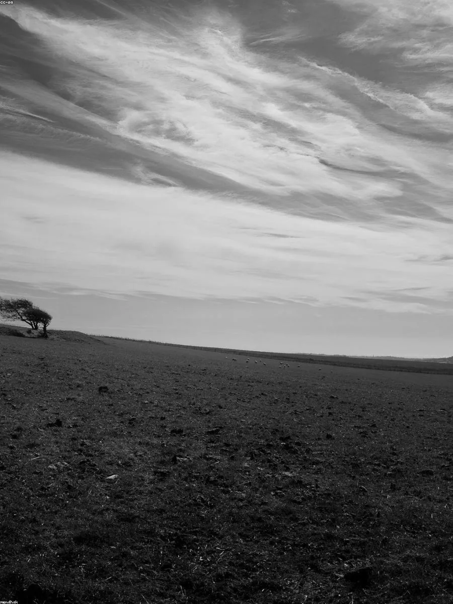 Open rural land under a wide sky, the kind of parcel sold through a title company closing